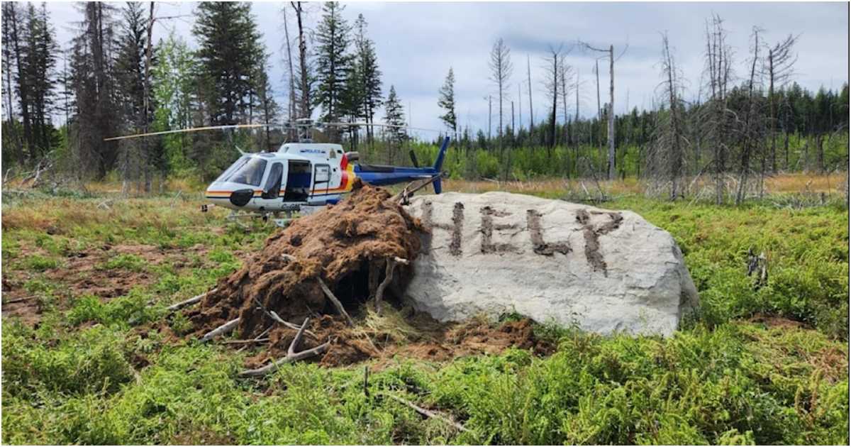 বনে বেশ কিছু বার্তা লিখেন বারবার। এর একটি ছিল তার আশ্রয়স্থলের কাছে পাথরে ‘হেল্প’ লেখা। ছবি: কুয়েসনেল সার্চ অ্যান্ড রেসকিউ টিম